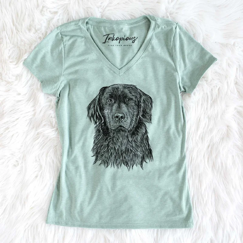 Bare Jinx the Newfoundland - Women's V-neck Shirt-- Graphic Embroidered Appliqued