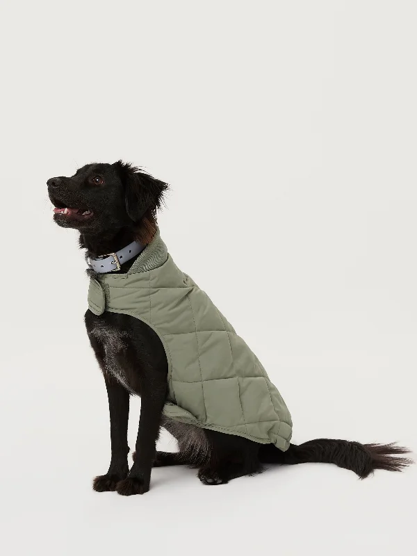 The Skyline Dog Jacket in Vetiver Green Striped Jacket Polka Dot Jacket Floral Jacket