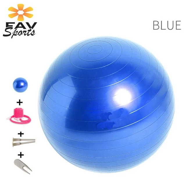 65cm Sports Yoga Ball Fitness Gym Balance Fitball Workout Pilates Massage Ball With Pump Fitness Equipment